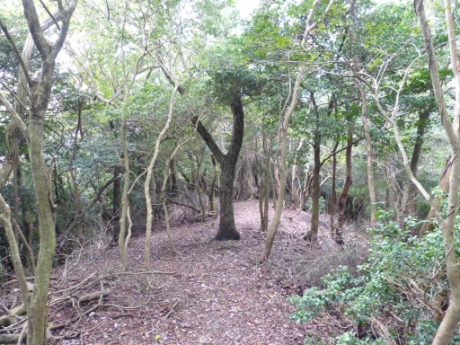 画像27